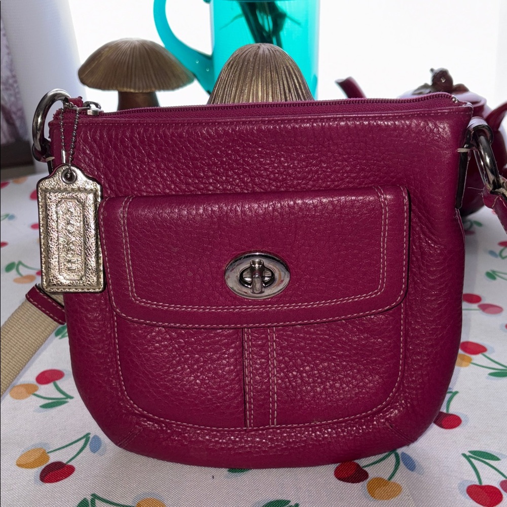 Coach Hamilton Rose Pink Pebbled Leather Crossbody Bag EUC